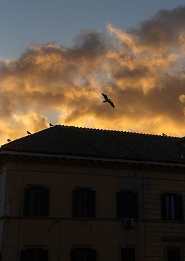 Sunset clouds over roof