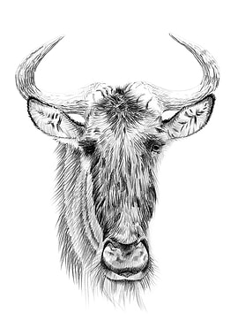 Wildebeest portrait
