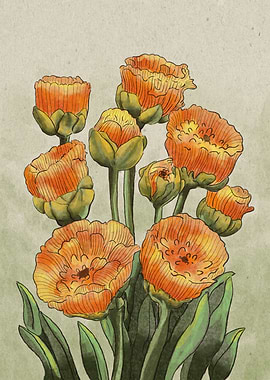 Orange Tulips