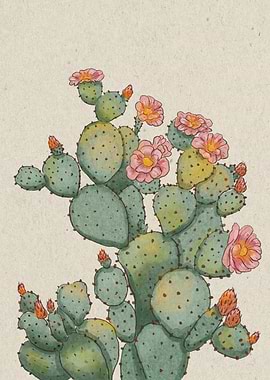 Pink Cactus