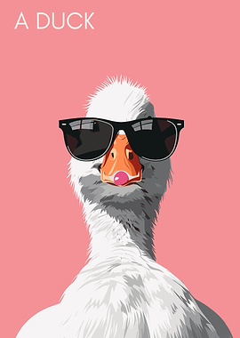 Cool Duck Shades Pink