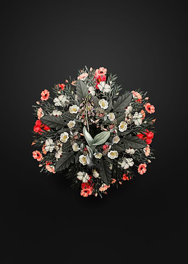 Brown Widelip Orchid