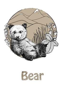 Bear cub