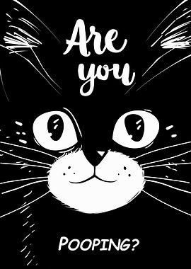 Black Cat Are You Pooping
