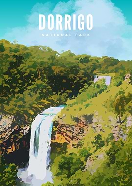 Dorrigo National Park