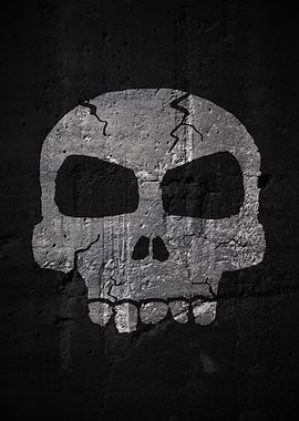 Weathered Skull Painting