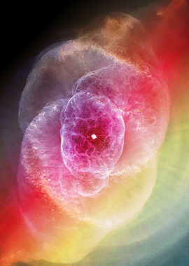 Deform To Form A Star