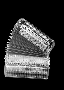Xray of an Accordion