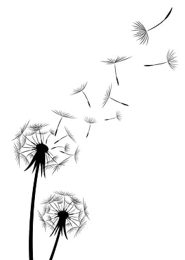 Dreams Come True Dandelion