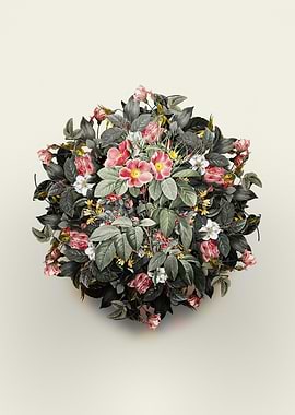 Pasture Rose Flower Wreath