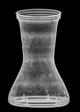 Goblet drum Darbukah x ray