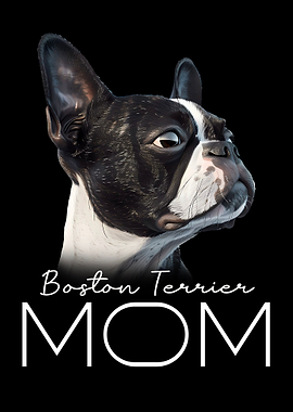 Boston Terrier Mom