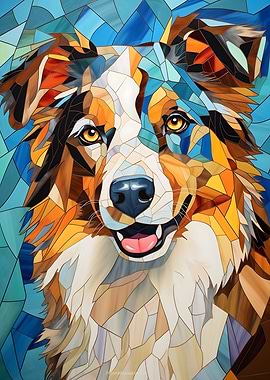 Australian sheperd Stained
