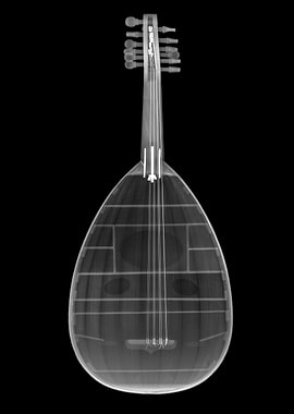 Oud middle eastern Lute