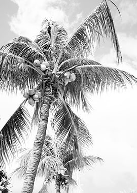 Vintage Paradise Palm 2