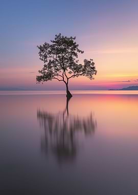 Lone Tree Serenity