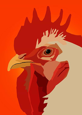 Rooster