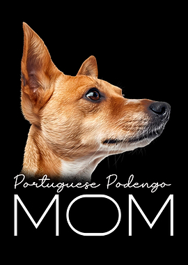 Portuguese Podengo Mom