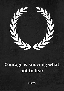 plato stoicism quote