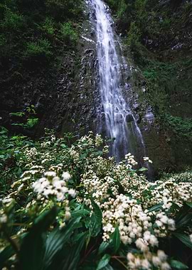Waterfall in the green