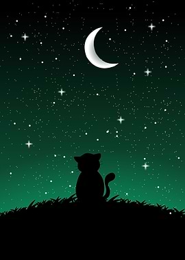 Cat sees stars