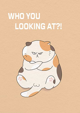 Cat Who You Looking At