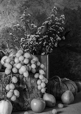 Still life Fruits