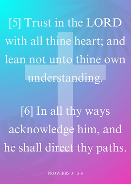 Proverbs 3 vs 5 and 6