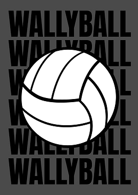 WALLYBALL GREY BLACK