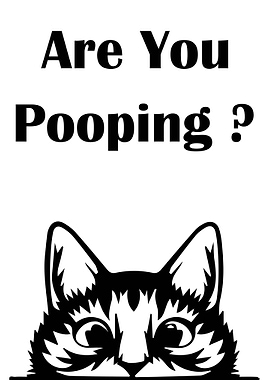 Funny Kitten Animal Cat