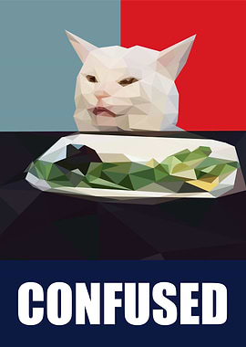 woman yelling at a cat