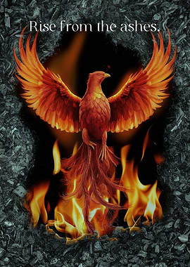 Rise From The Ashes