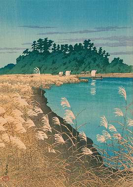 Late Autumn in Ichikawa