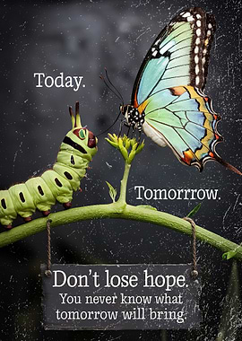 Tomorrow Don T Lose hope
