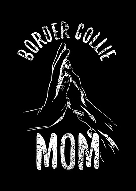 Unique Border Collie