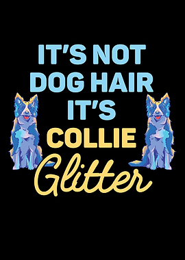 Border Collie Enthusiast