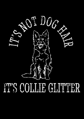 Unique Border Collie