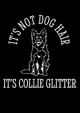 Unique Border Collie