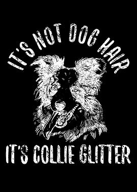 Unique Border Collie