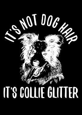 Unique Border Collie