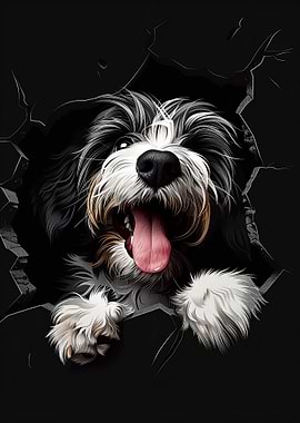 Bearded Collie