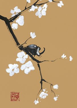 beetle on brown paper