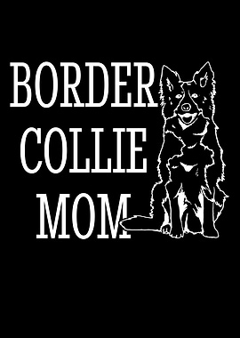 Unique Border Collie Dog