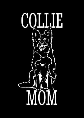 Border Collie Enthusiast