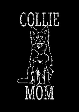 Unique Border Collie