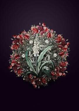 Eucomis Punctata Wreath