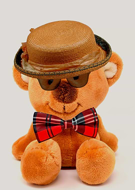 Teddy bear with hat