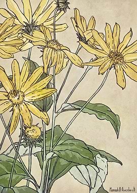 Sunflowers Vintage Floral