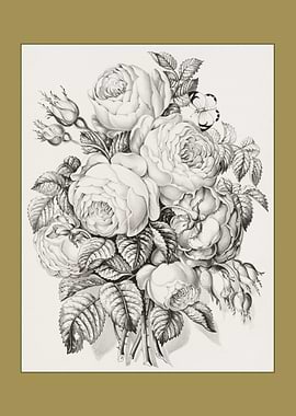 Rose of May Vintage Floral