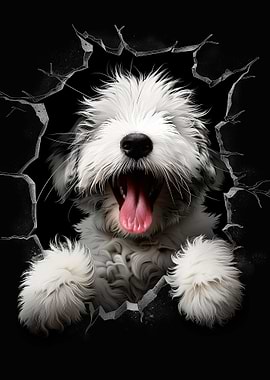 Old English Sheepdog Dog